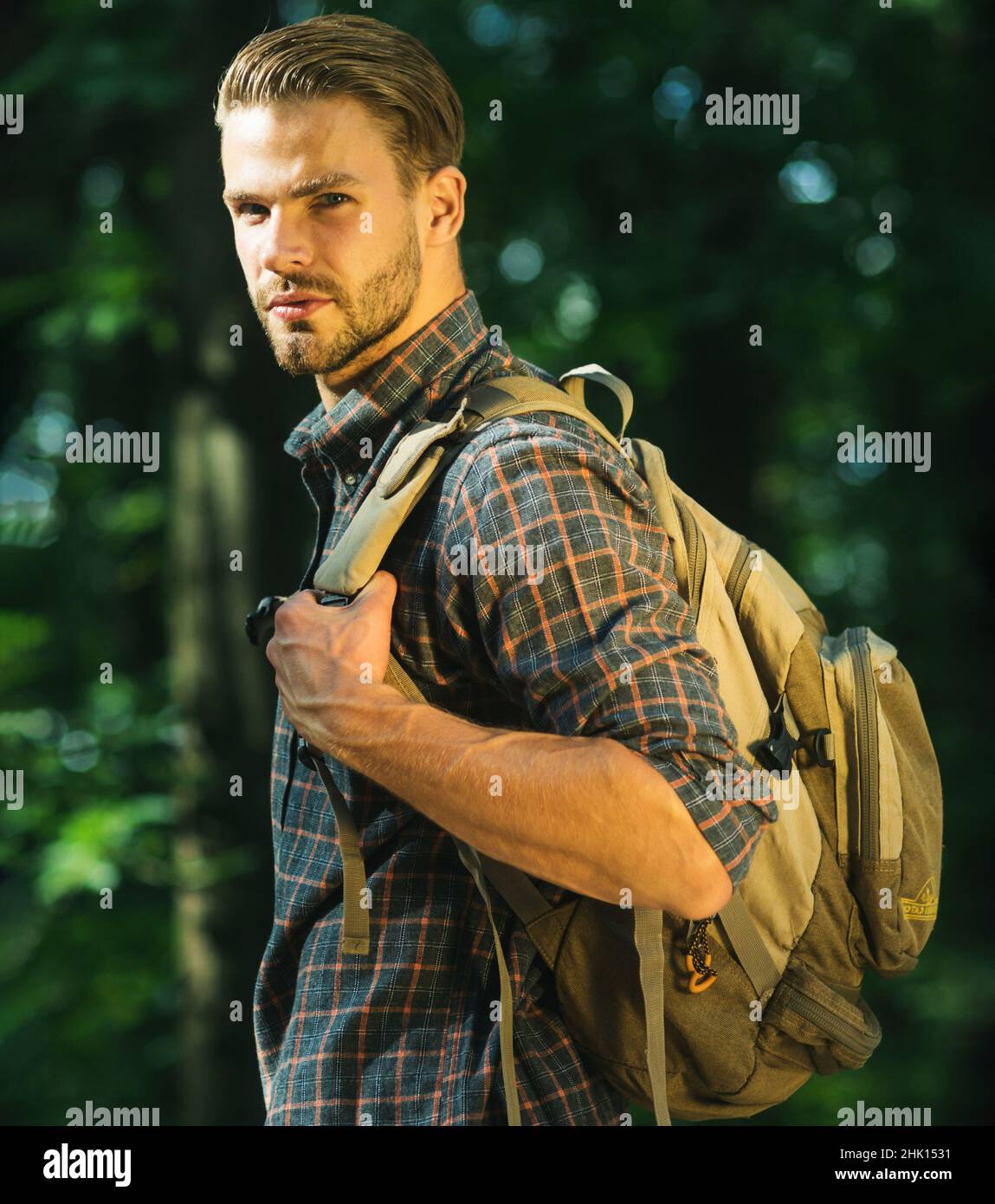 Bearded man with backpack hiking in forest. Male traveling in woods on sunny day. Healthy lifestyle. Stock Photo
