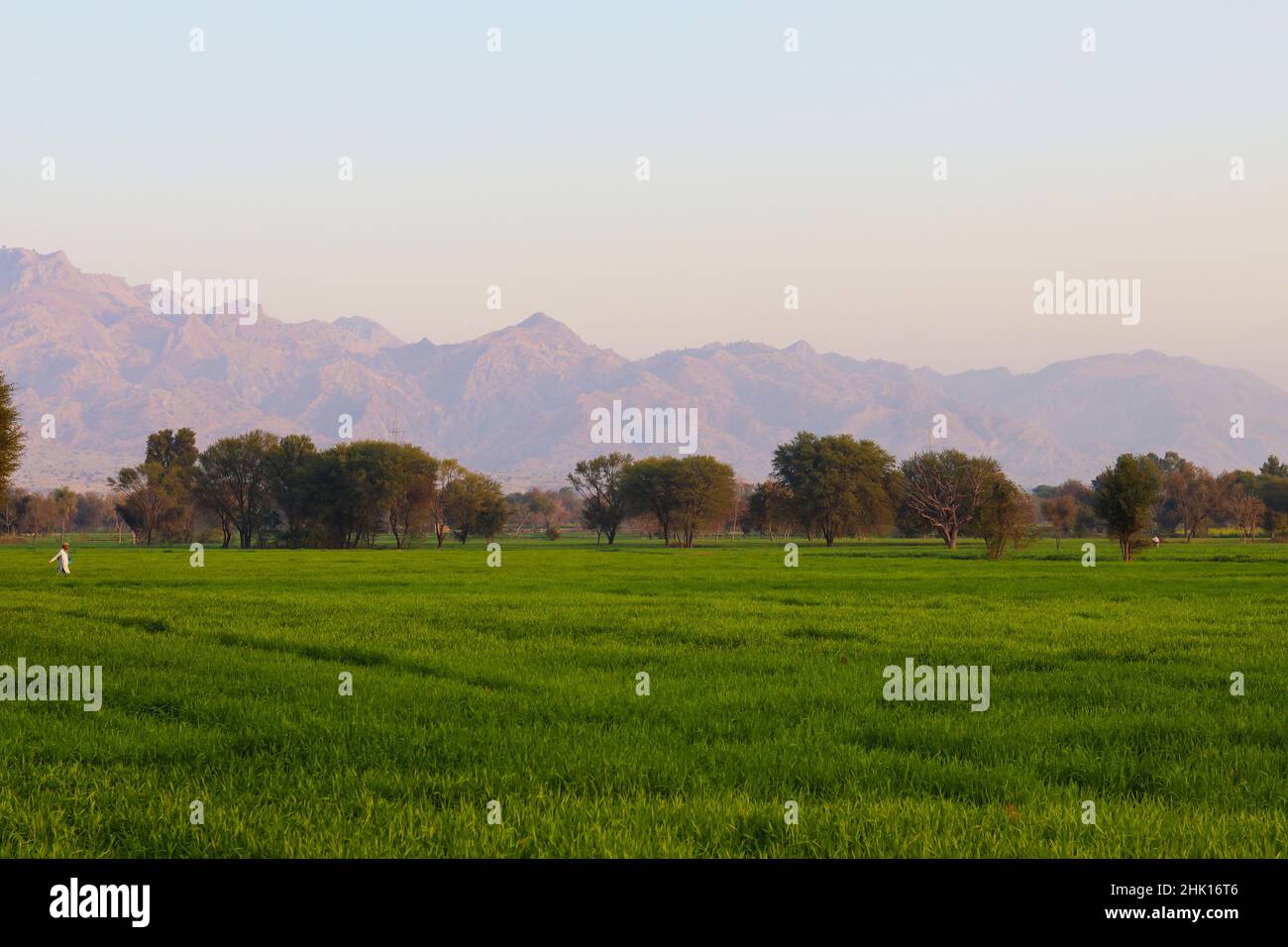 Mountains and tree in a village of Pakistan Stock Photo