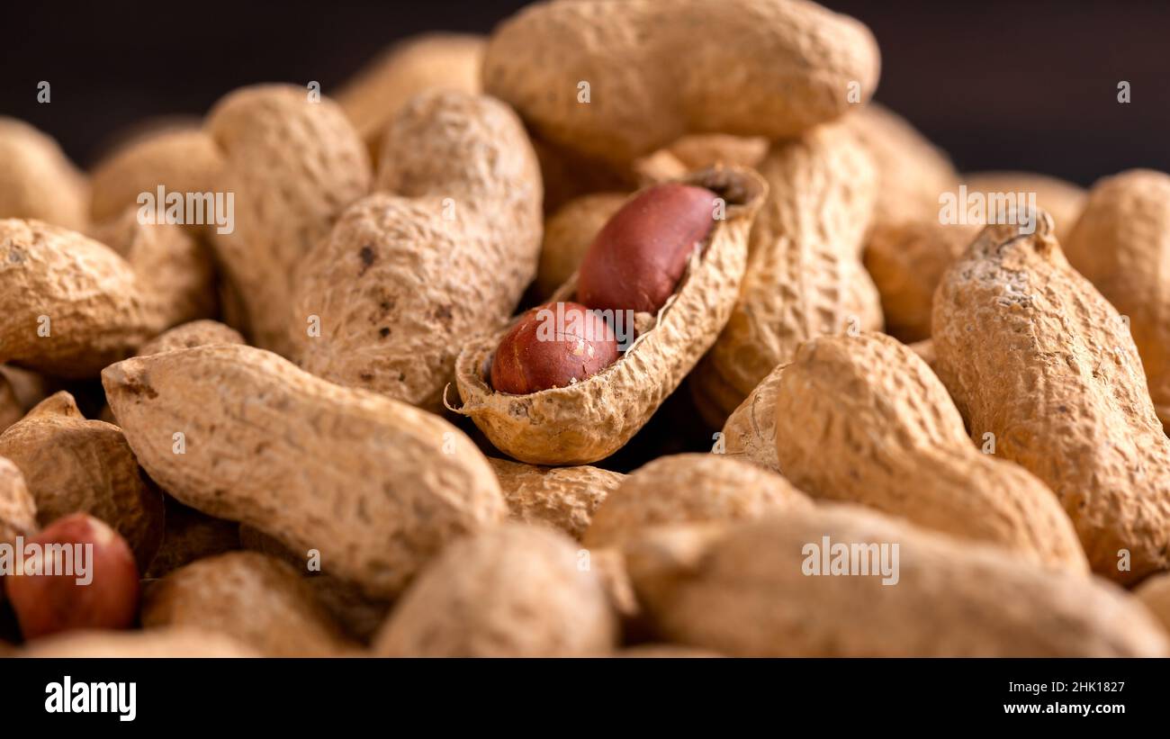 Peanuts or monkey nuts in a shell Stock Photo Alamy