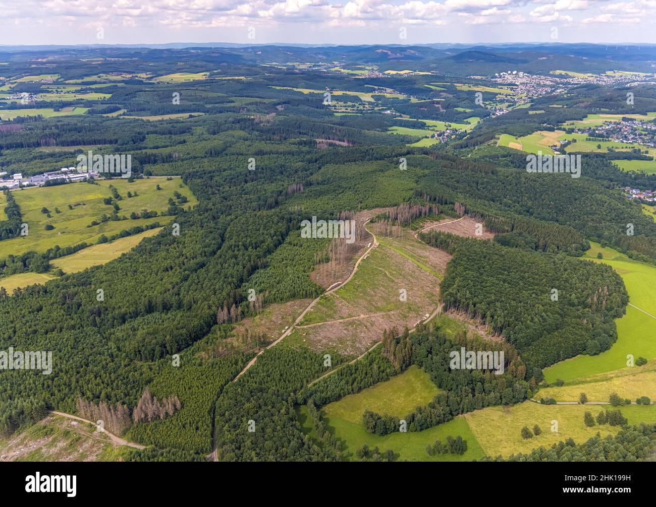 Aerial photograph, forest area with forest damage, Hünsborn, Wenden, Sauerland, North Rhine-Westphalia, Germany, tree mortality, bark beetle damage, b Stock Photo