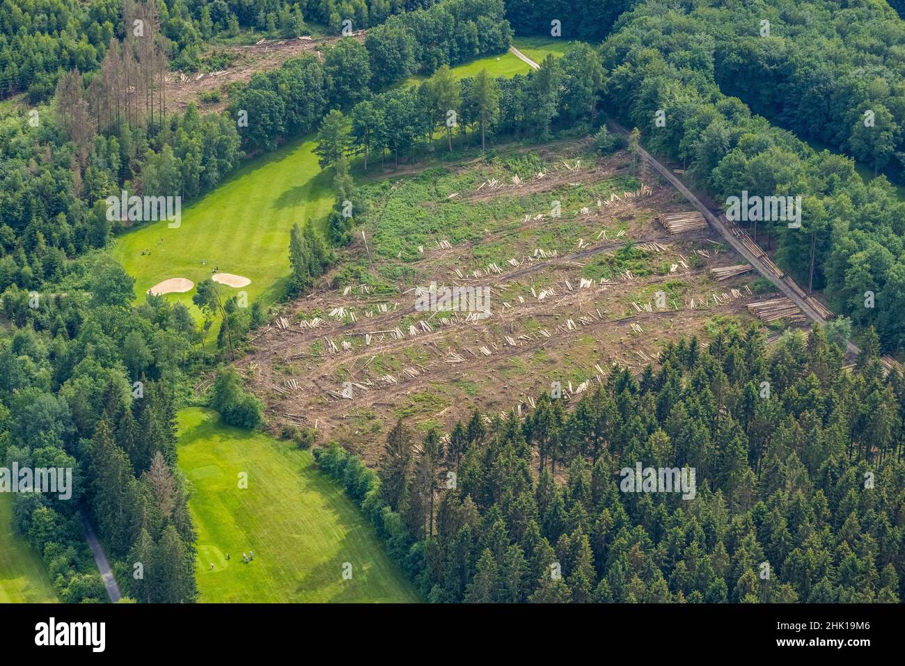 Aerial photograph, forest area with forest damage Dörnscheid, Ottfingen, Wenden, Sauerland, North Rhine-Westphalia, Germany, tree death, bark beetle d Stock Photo