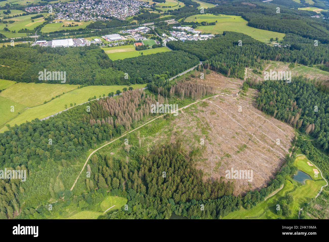 Aerial photograph, forest area with forest damage Dörnscheid, Ottfingen, Wenden, Sauerland, North Rhine-Westphalia, Germany, tree death, bark beetle d Stock Photo