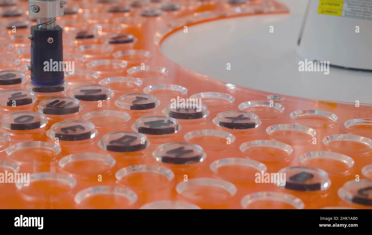 Test Tube Closing Production Machine. HDR. Testing of robotic machine