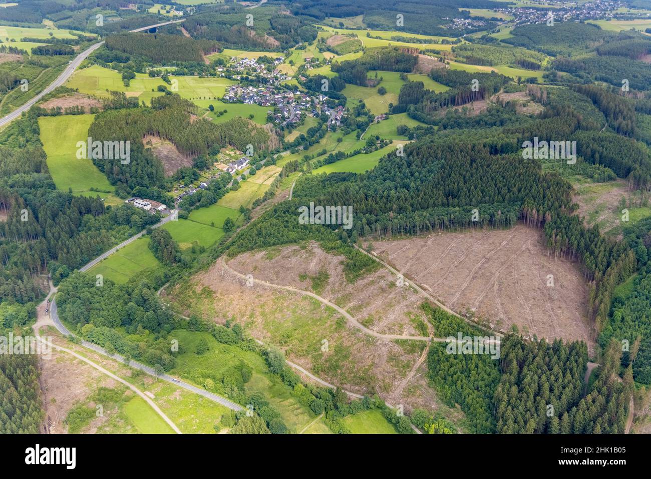 Aerial photograph, forest area with forest damage, Gerlingen, Wenden, Sauerland, North Rhine-Westphalia, Germany, tree death, bark beetle damage, bark Stock Photo