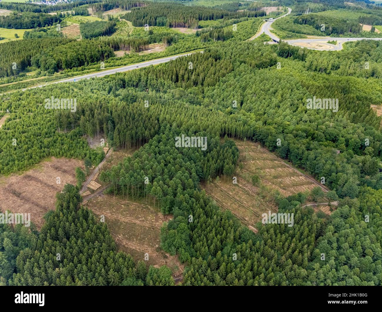 Aerial photograph, forest area with forest damage, Schönau, Wenden, Sauerland, North Rhine-Westphalia, Germany, tree death, bark beetle damage, bark b Stock Photo