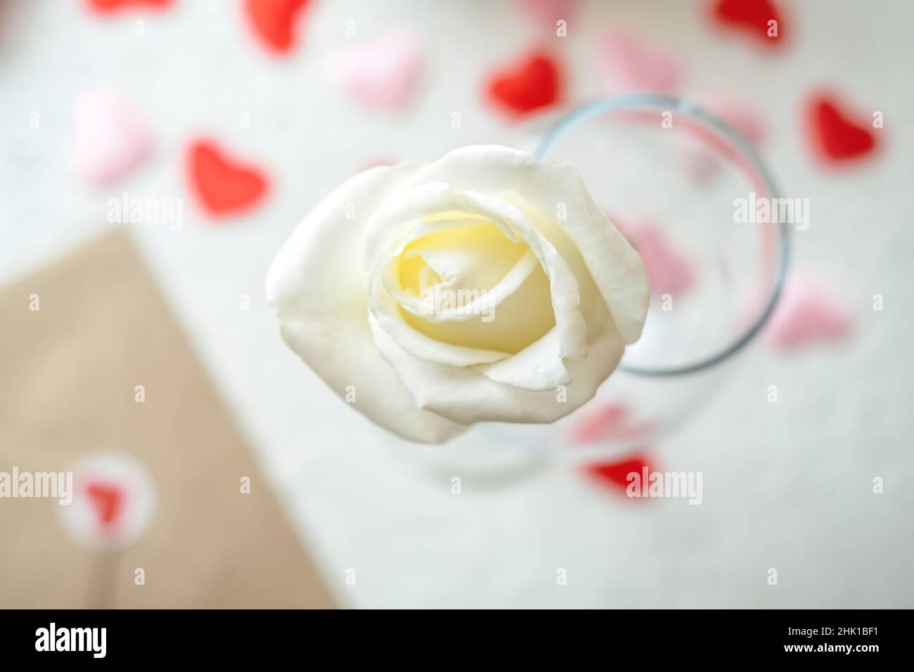 Valentines day greeting card with white rose and love envelope Stock ...