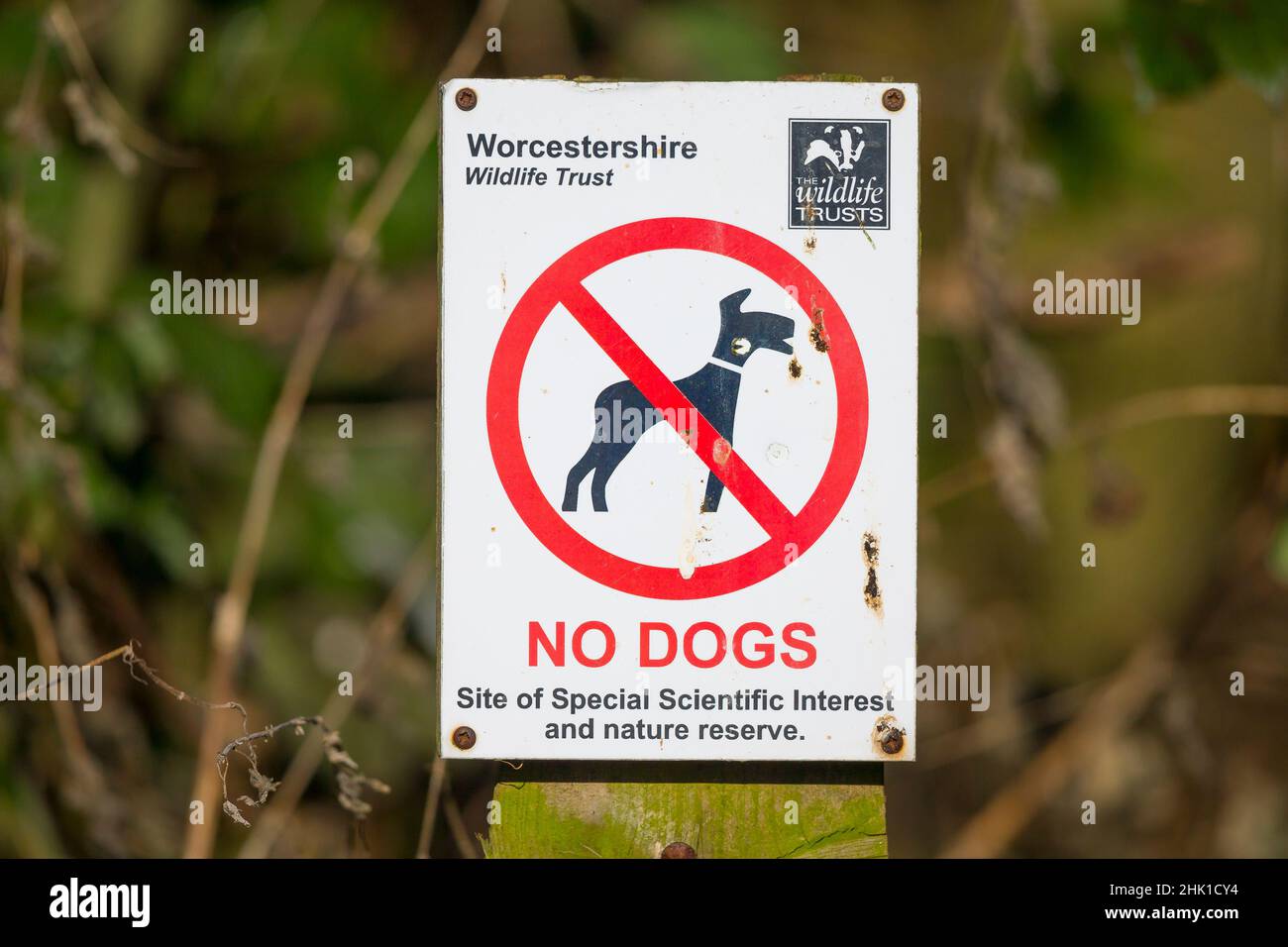 No dogs, site of special scientific interest sign Stock Photo