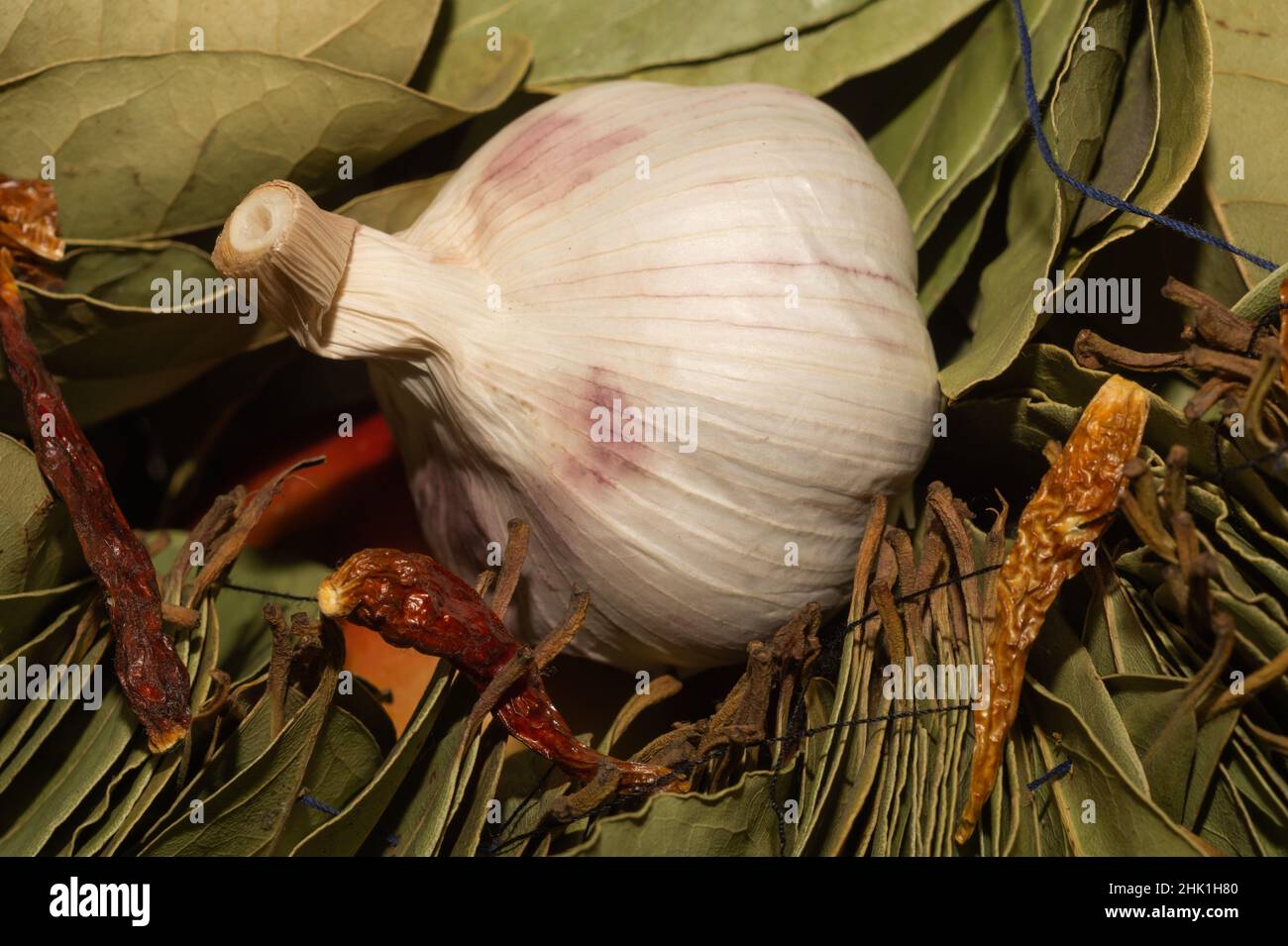 Garlic and bay leaves. dried hot peppers close up Stock Photo