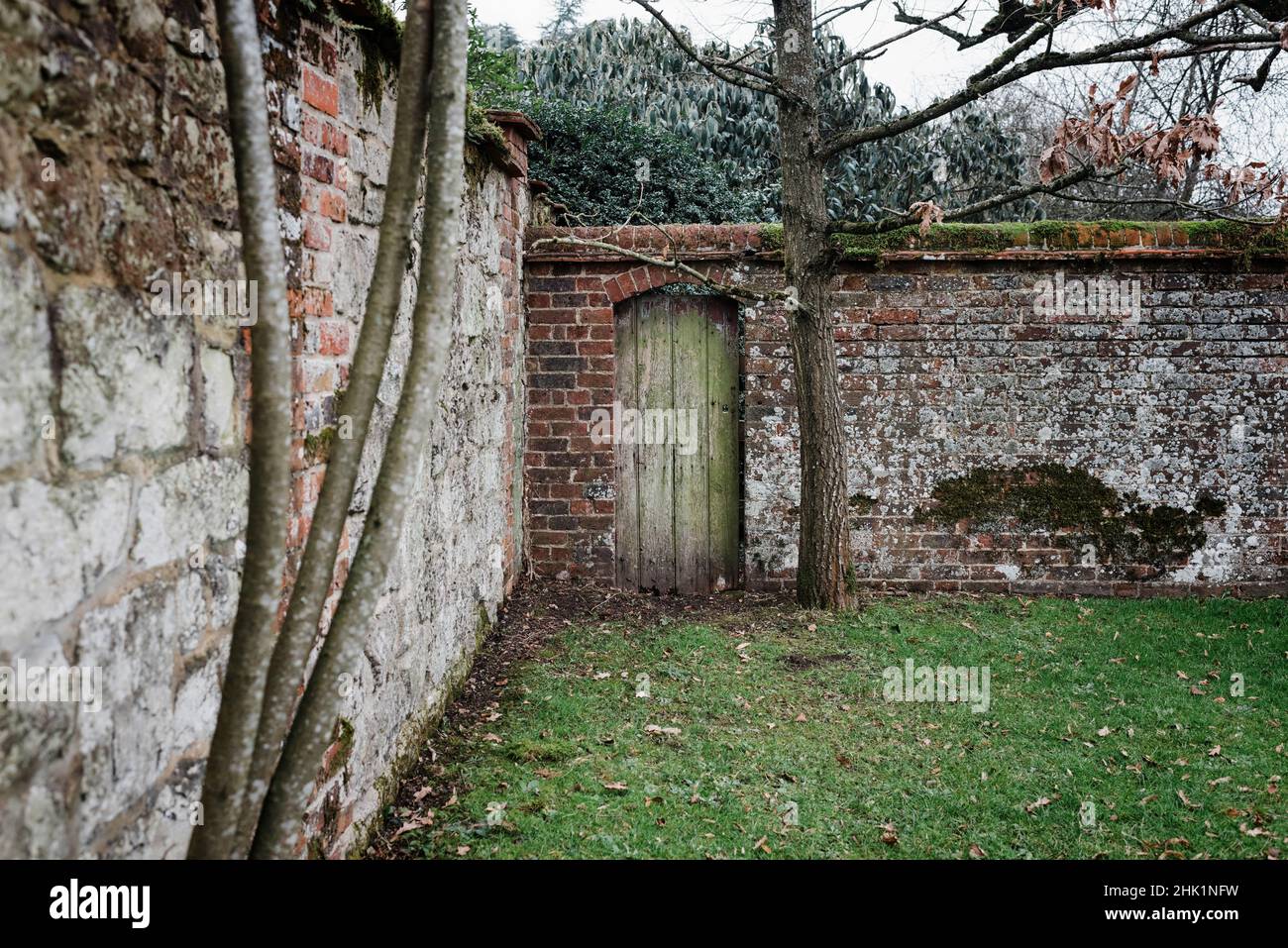 traditional English walled secret gate in the garden Stock Photo