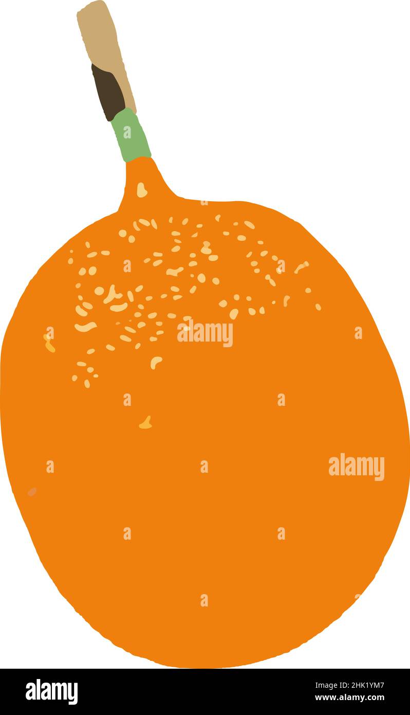 Edible oval fruit Stock Vector Images - Alamy