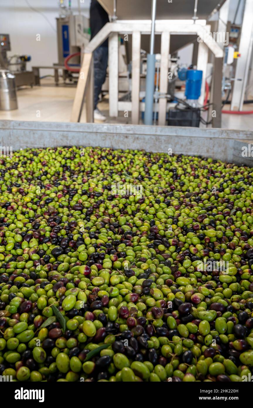 Olive oil mill tuscany hires stock photography and images Alamy