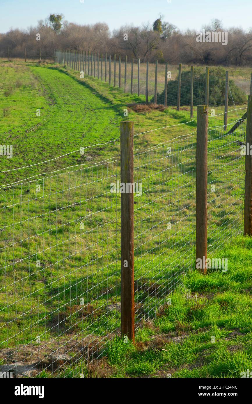 Tule elk fence, San Luis National Wildlife Refuge, California Stock Photo