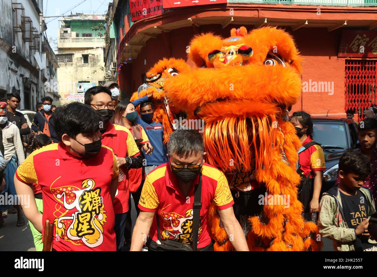 Kolkata, West Bengal, India. 1st Feb, 2022. Chinese community living in the city perform a lion dance to celebrate the first day of the Chinese Lunar Year. (Credit Image: © Dipa Chakraborty/Pacific Press via ZUMA Press Wire) Stock Photo