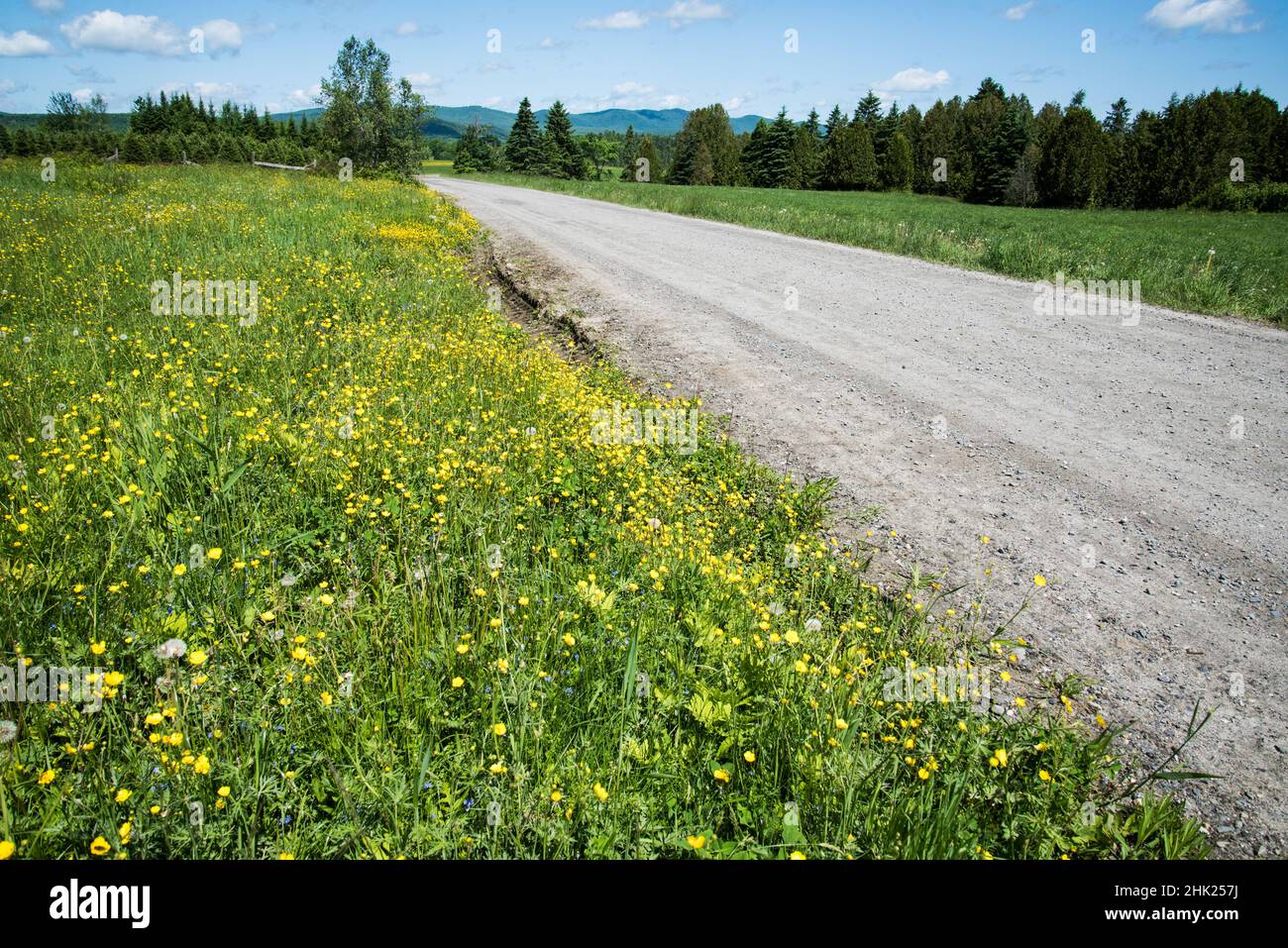 Summertime on a country road in Craftsbury, Vermont, rural New England, USA. Stock Photo