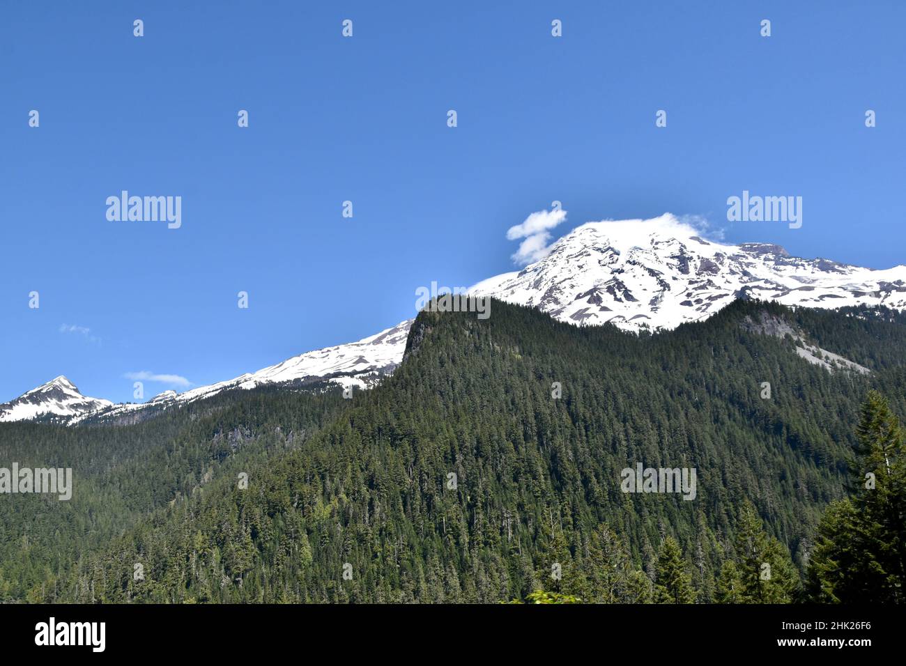 MOUNT RAINIER NATIONAL PARK WASHINGTON STATE USA visual data 5