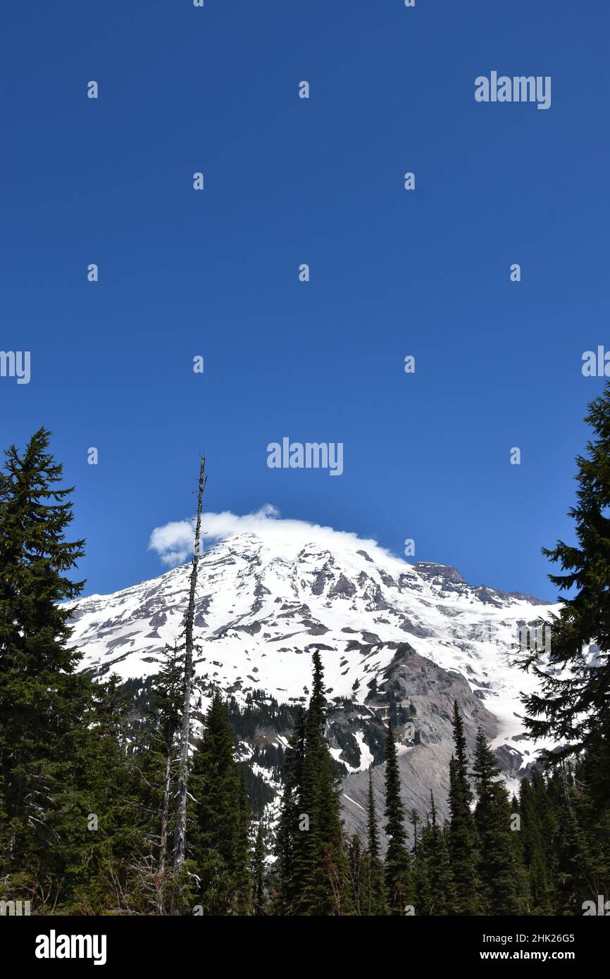 MOUNT RAINIER NATIONAL PARK WASHINGTON STATE USA visual data 2