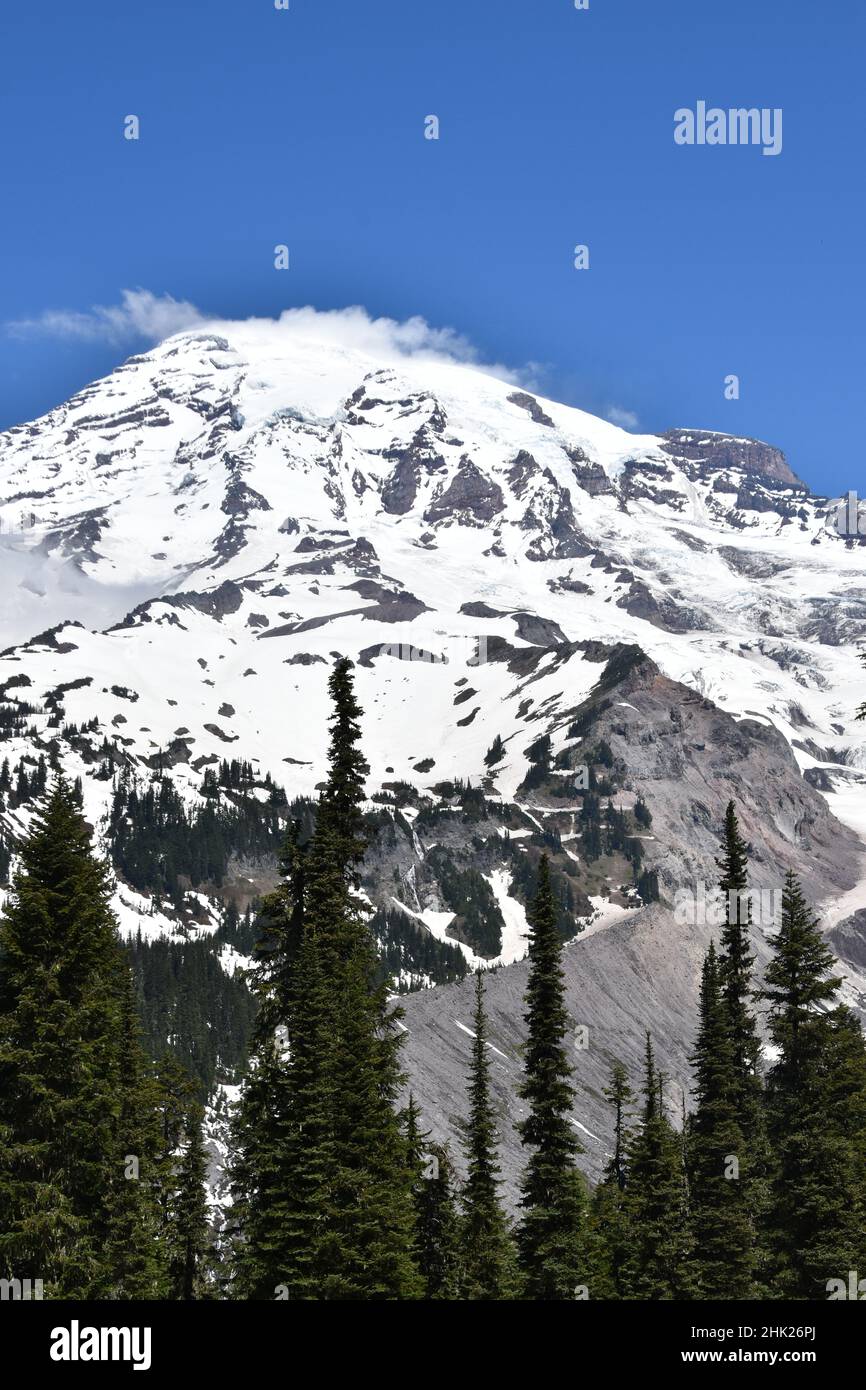 MOUNT RAINIER NATIONAL PARK WASHINGTON STATE USA visual data 3