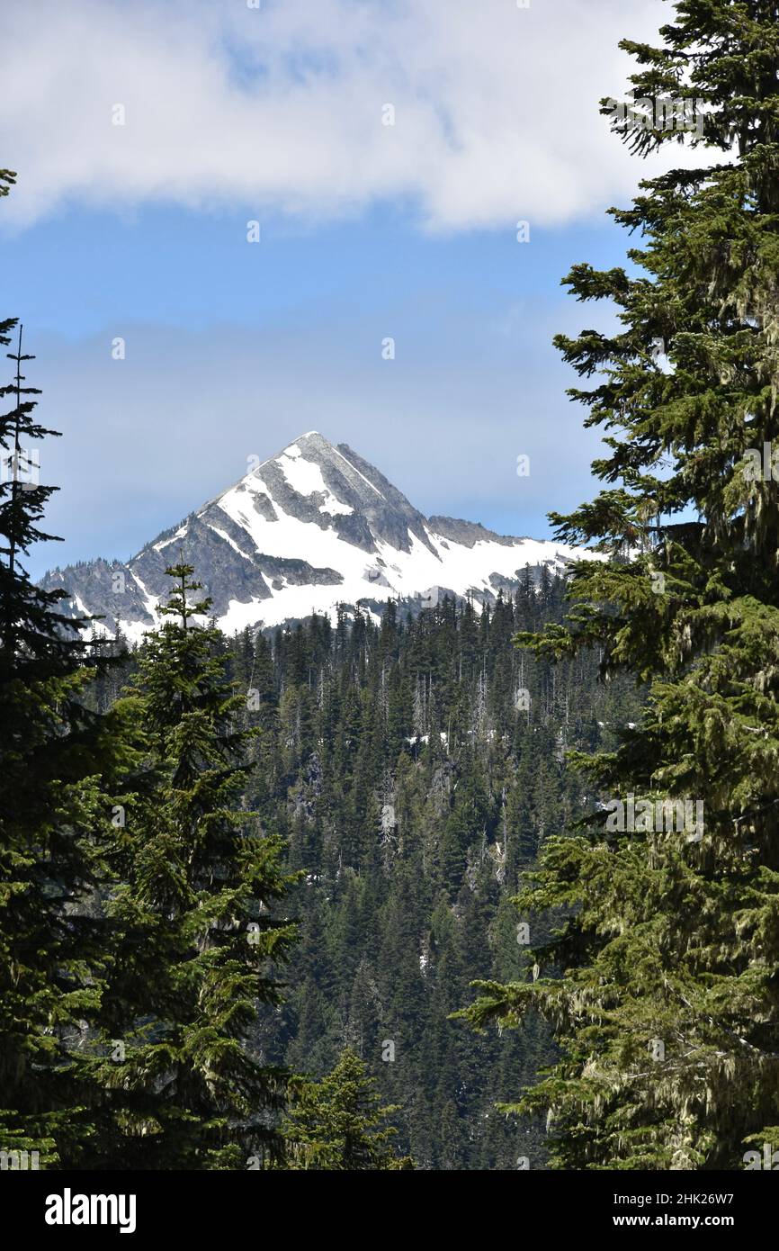 MOUNT RAINIER NATIONAL PARK WASHINGTON STATE USA visual data 4