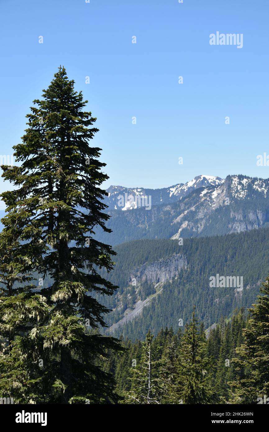 MOUNT RAINIER NATIONAL PARK WASHINGTON STATE USA visual data 6