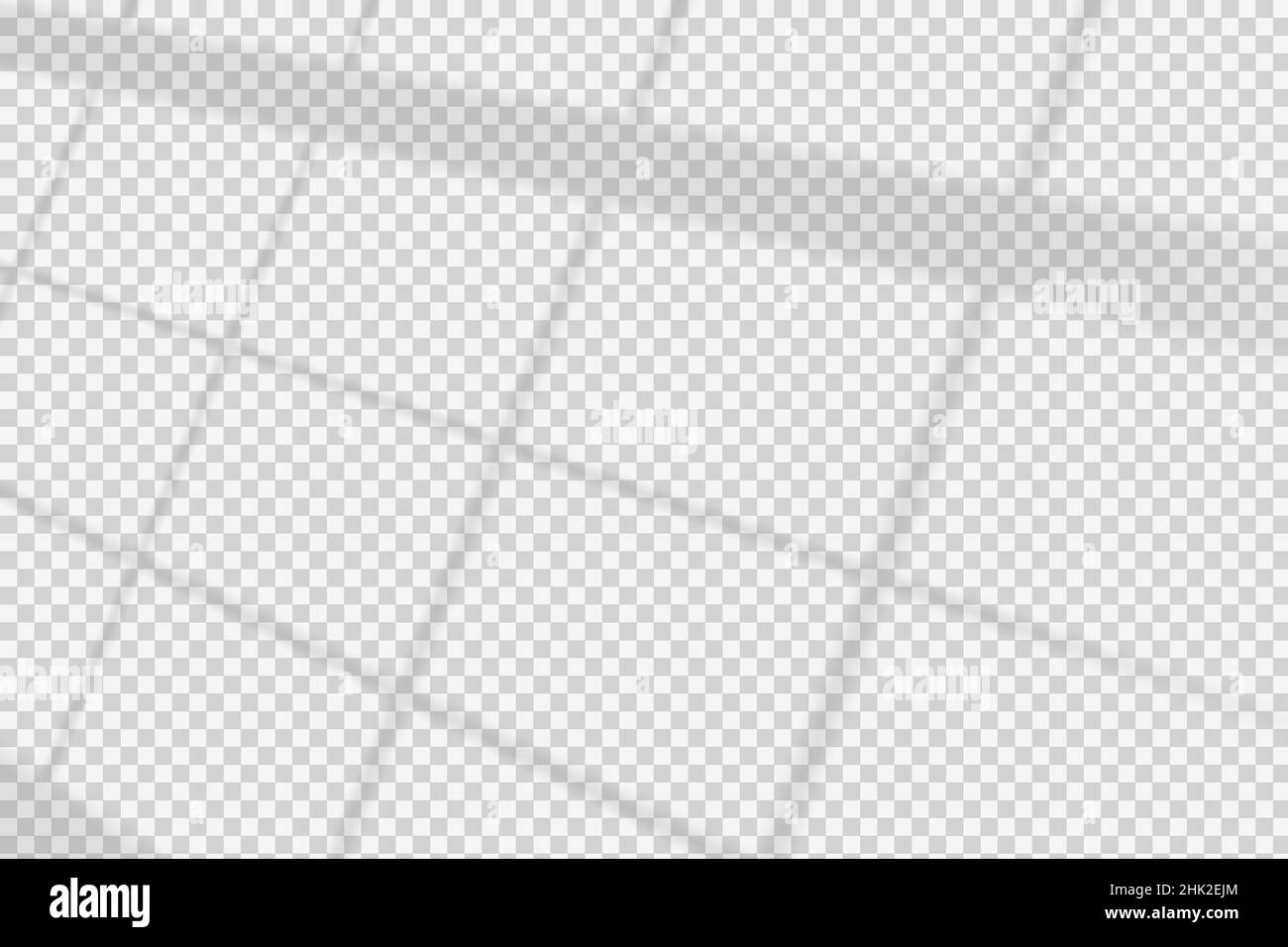 Window shadow vector overlay on transparent background. Natural scene ...
