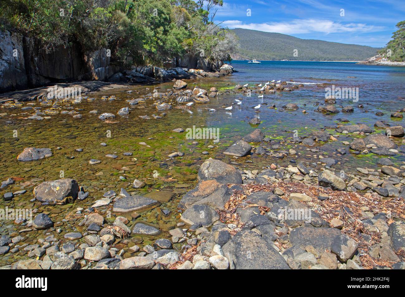 Bivouac Bay, Tasman National Park Stock Photo