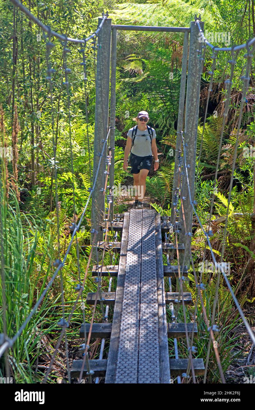 Bridge crossing on the Tasman Coastal Trail at Canoe Bay Stock Photo