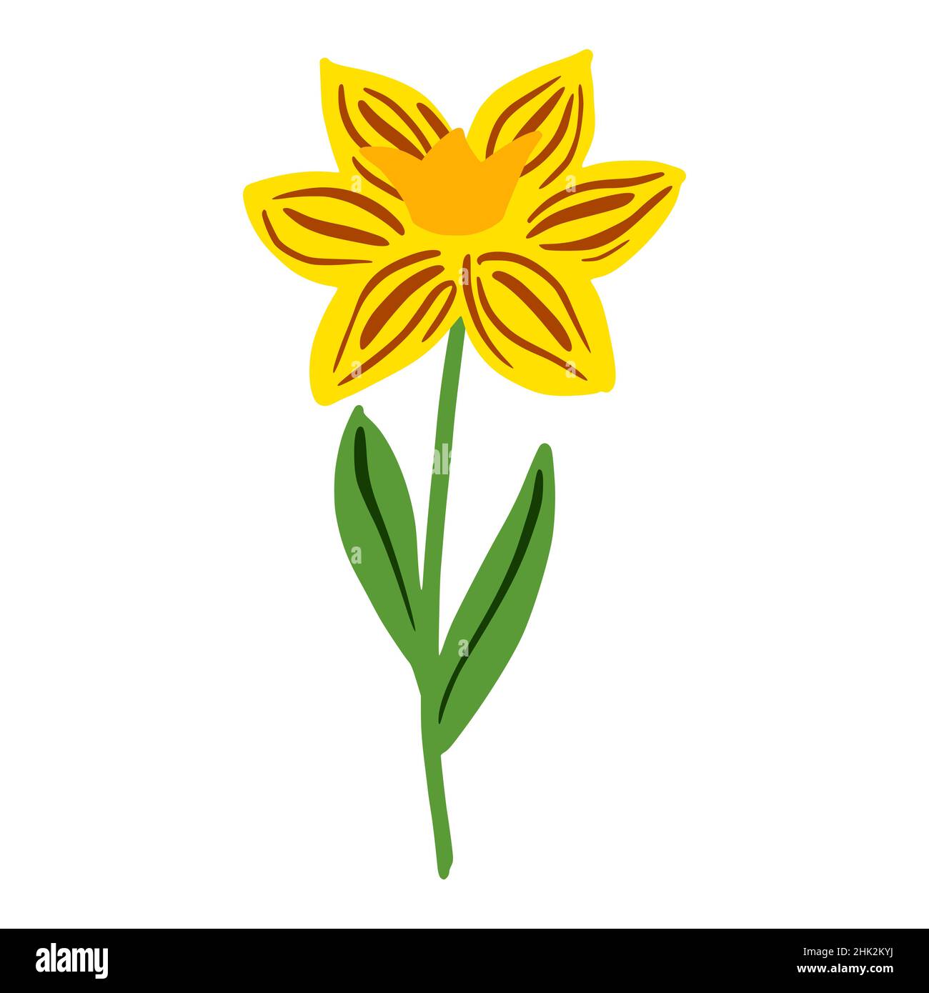 Daffodil isolated on white background. Beautiful hand drawn botanical sketch flower for any purpose. Design vector illustration. Stock Vector