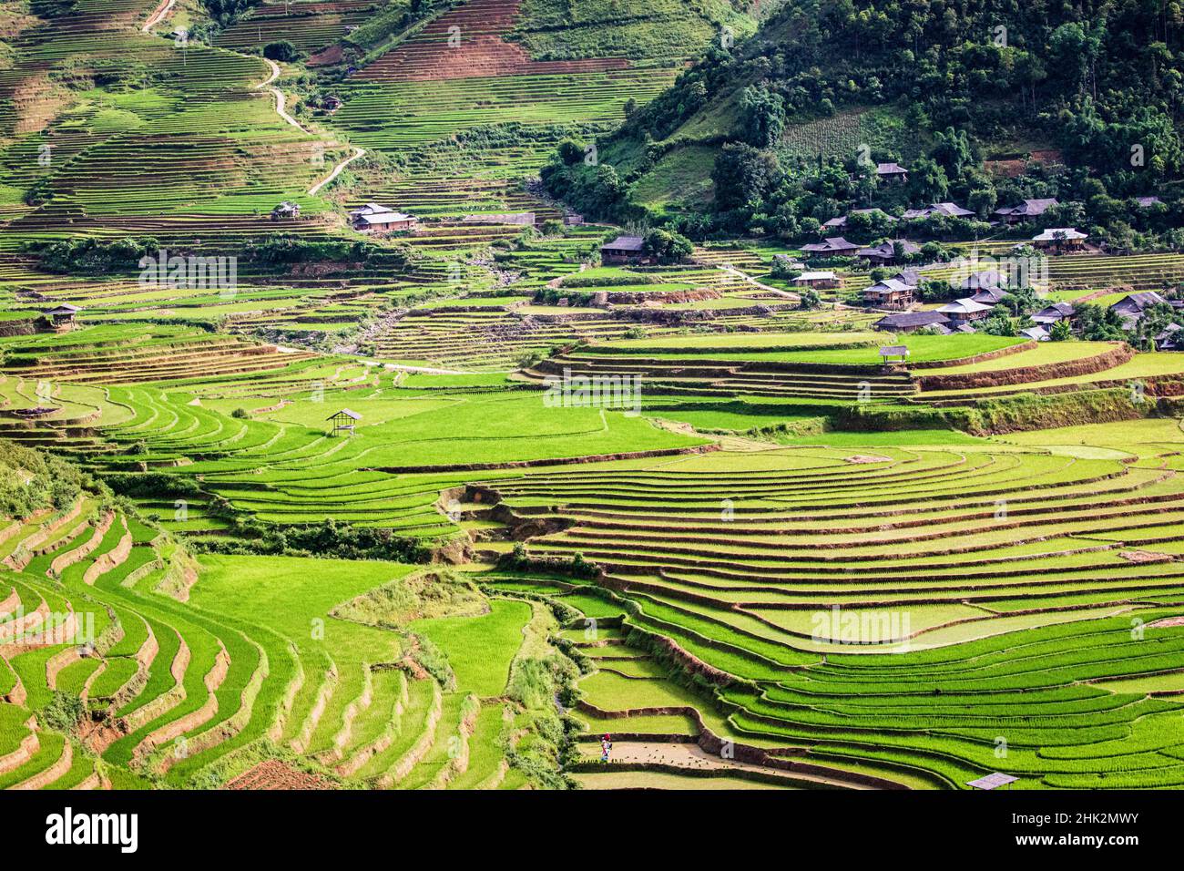 Vietnam . Rice paddies in the highlands of Sapa. Stock Photo