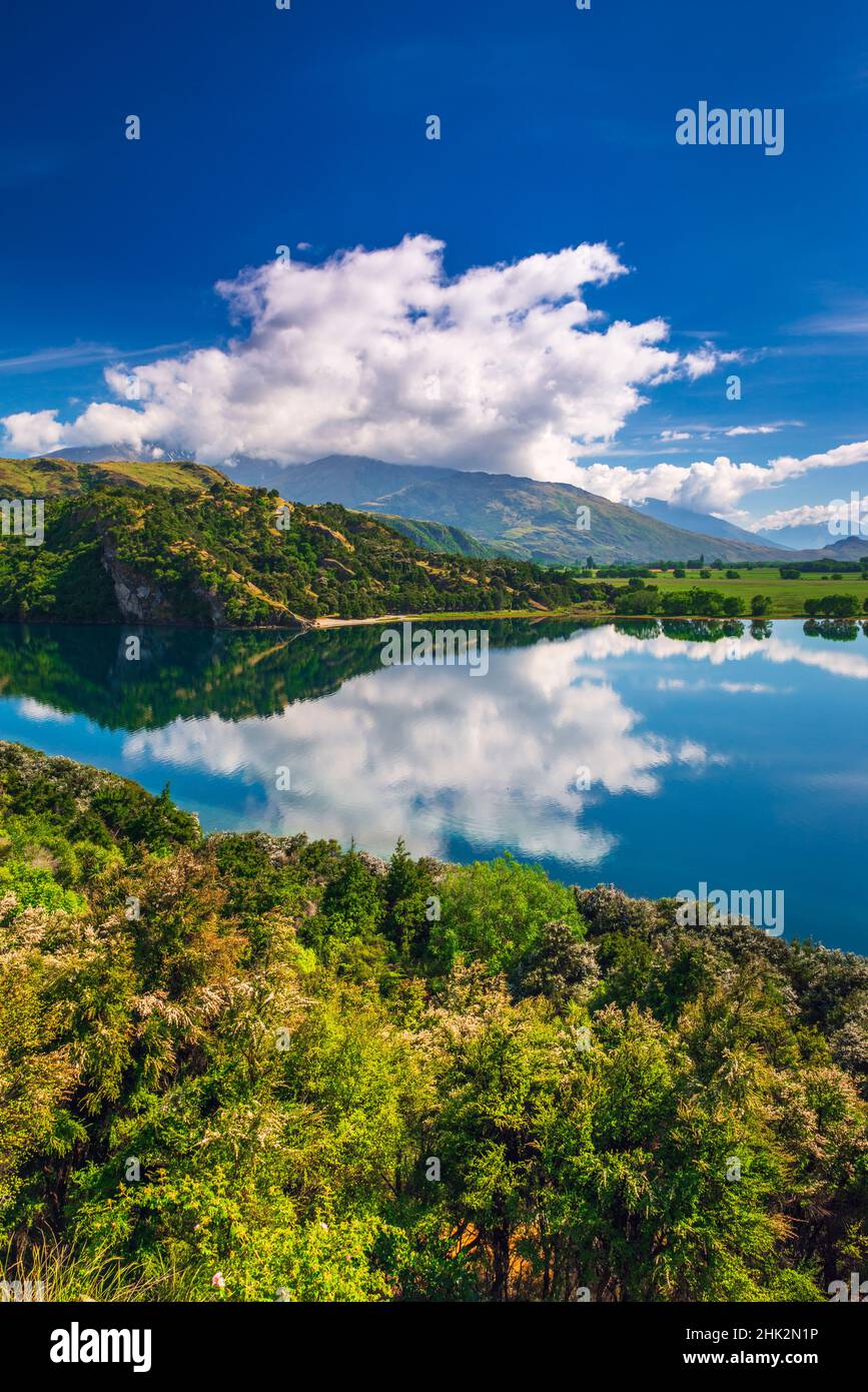 Glendhu Bay on Lake Wanaka, Otago, South Island, New Zealand Stock Photo