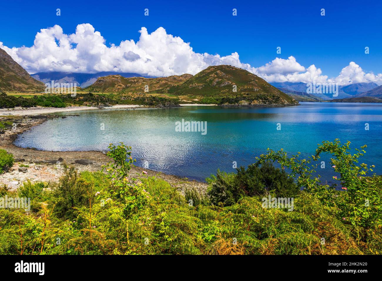 Lake Wanaka, Otago, South Island, New Zealand Stock Photo - Alamy