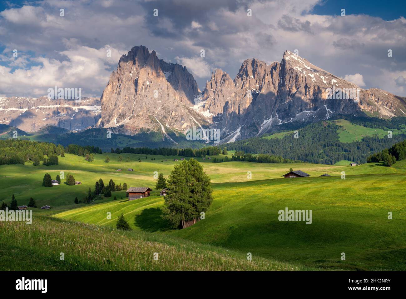 Europe, Italy, South Tirol. Alpine meadows with the Sasso Lungo and Sasso Piatto Mountains. Stock Photo