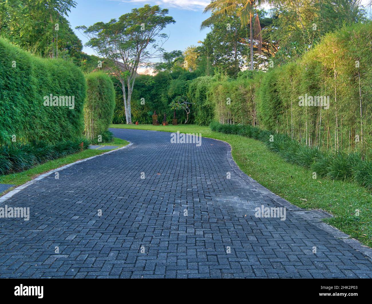 Indonesia, Bali, Ubud. Backroad through Rain forest Stock Photo