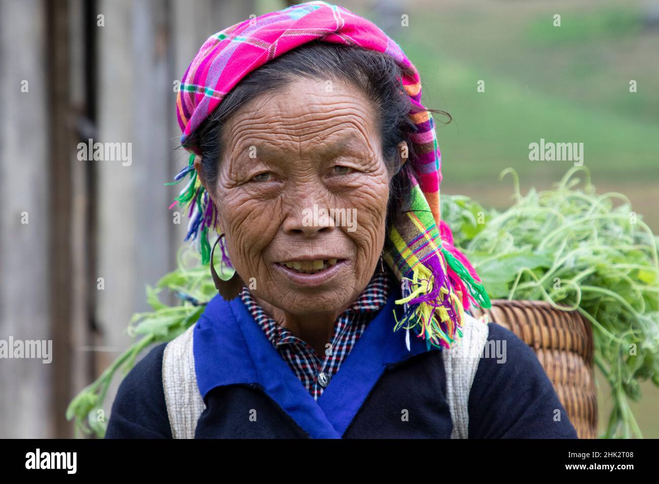 Vietnam. Old woman carrying vegetables from farming community with ...