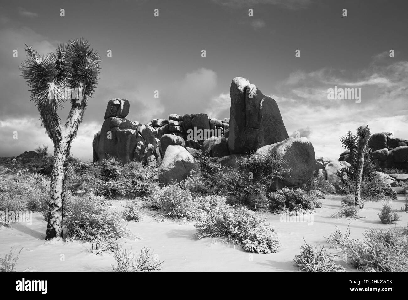 Winter storm, Joshua Tree National Park, California Stock Photo Alamy