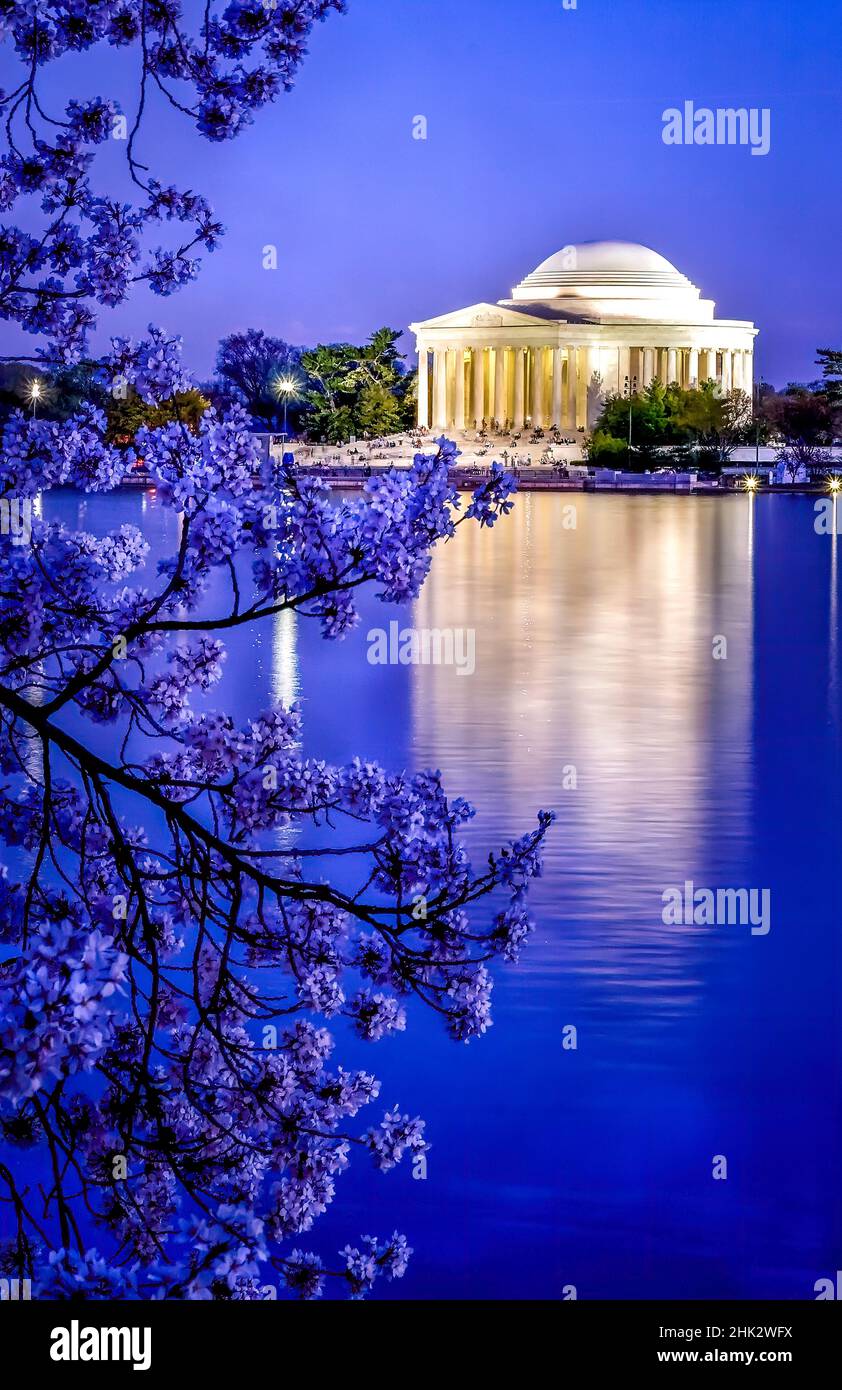 Jefferson memorial with spring cherry blossoms washington dc usa hires