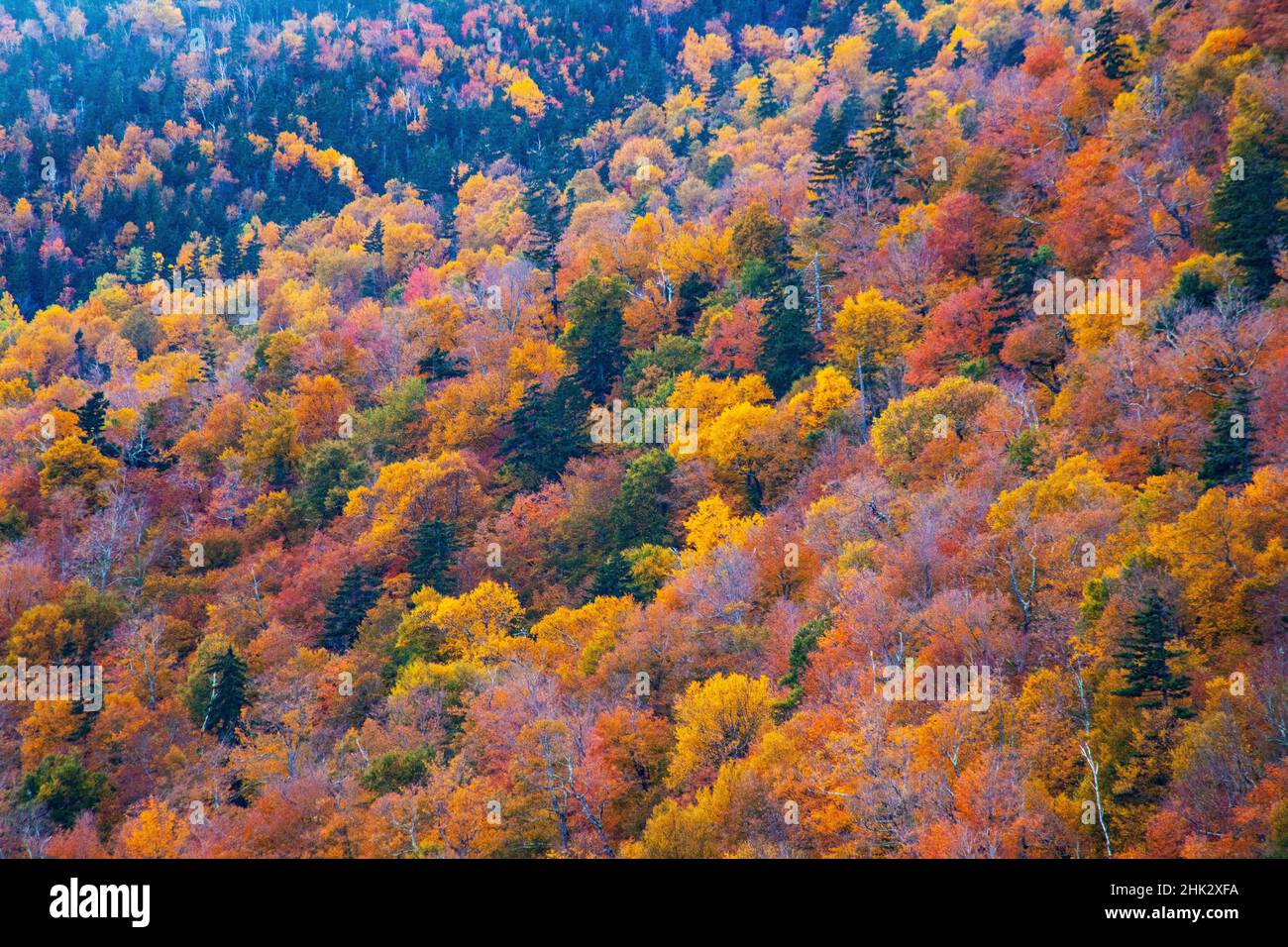 USA, New Hampshire, New England Fall colors on hillsides along highway 16 north of Jackson Stock Photo