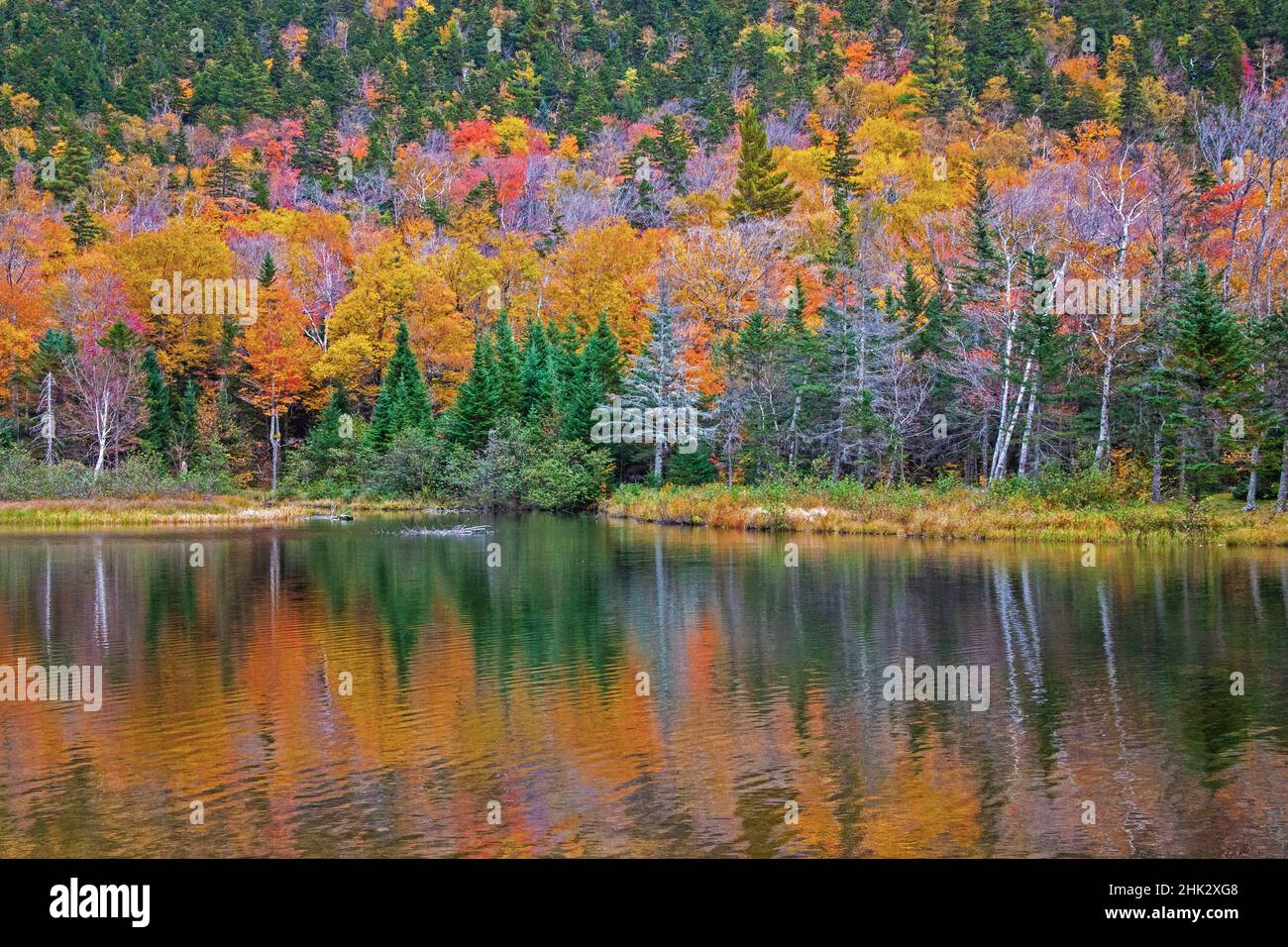 USA, New Hampshire, New England Fall colors reflected in the waters of