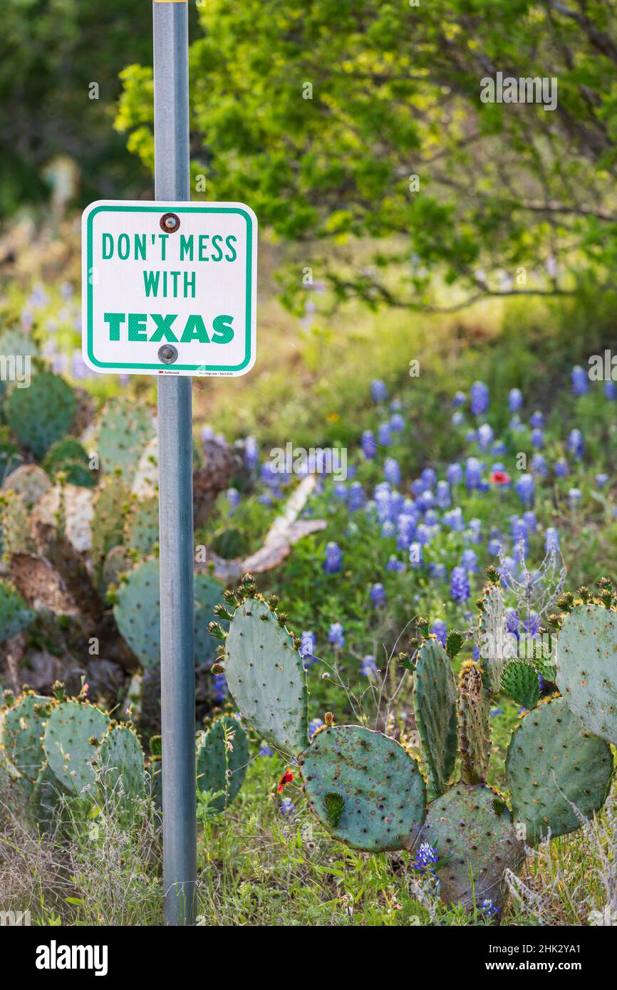 DONT MESS WITH TEXAS ❤️🤍💙 . . Living it up at the @rangers