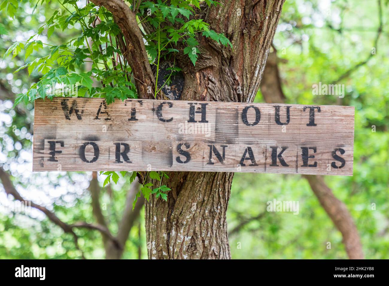 Castroville, Texas, USA. Sign warning snakes in the Texas Hill Country. (Editorial Use Only) Stock Photo