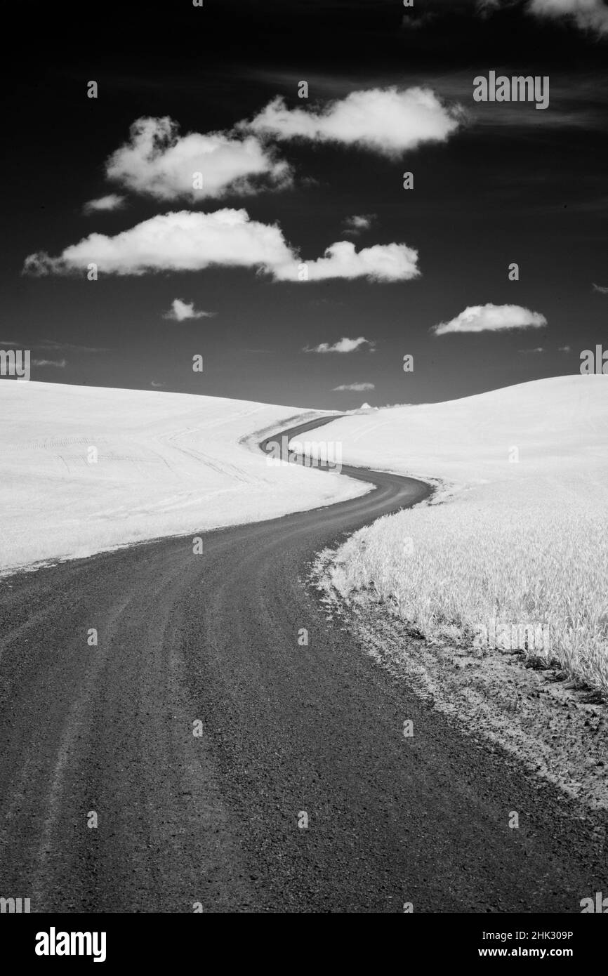 USA, Palouse Country, Washington State, Infrared Palouse fields and backroad Stock Photo Alamy