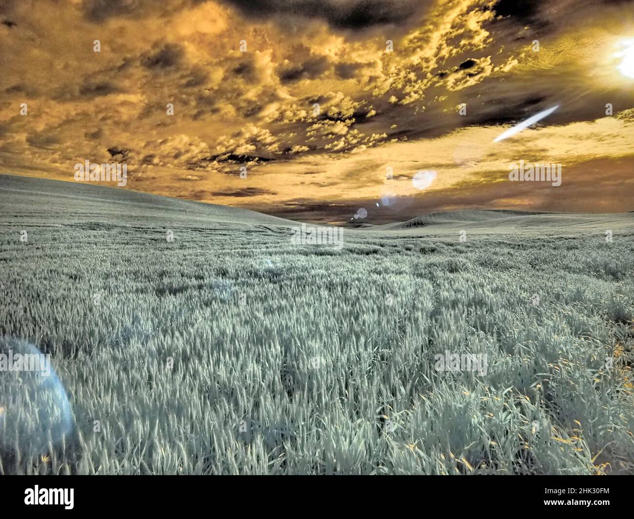 USA, Washington State, Palouse. wheat field and clouds Stock Photo