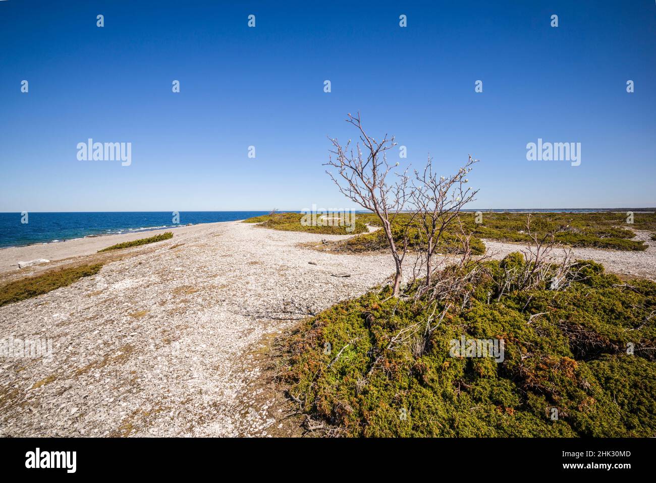 Sweden, Faro Island, Langhammars Area, coastal view Stock Photo