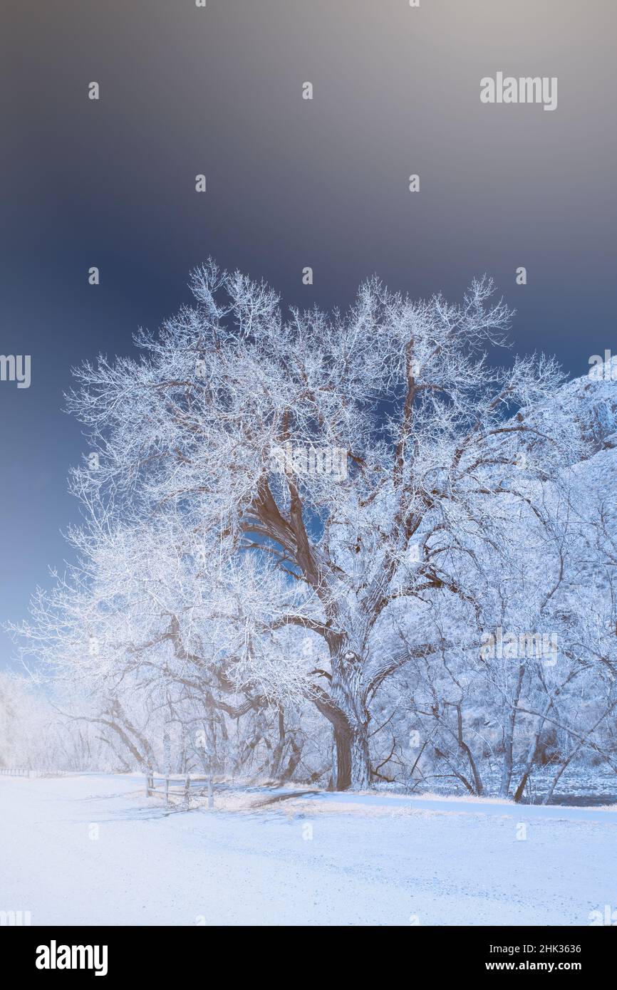 Wintery scene Stock Photo