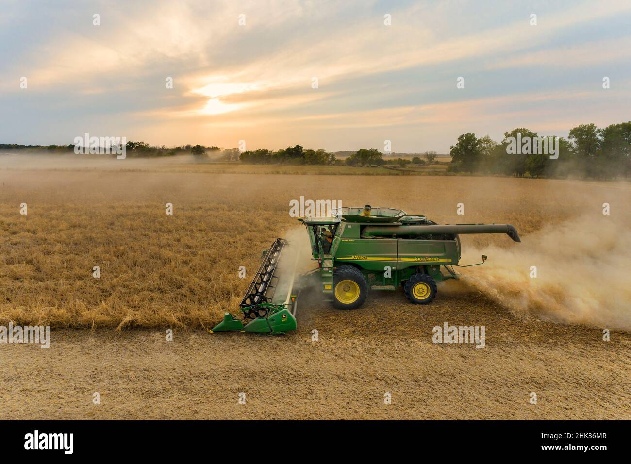 Aerial view of combine harvesting soybean field at sunset, Marion ...