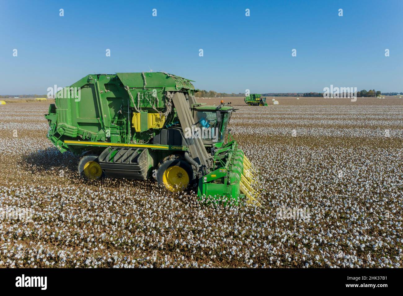 Cotton pickers harvesting cotton, Stoddard County, Missouri Stock Photo