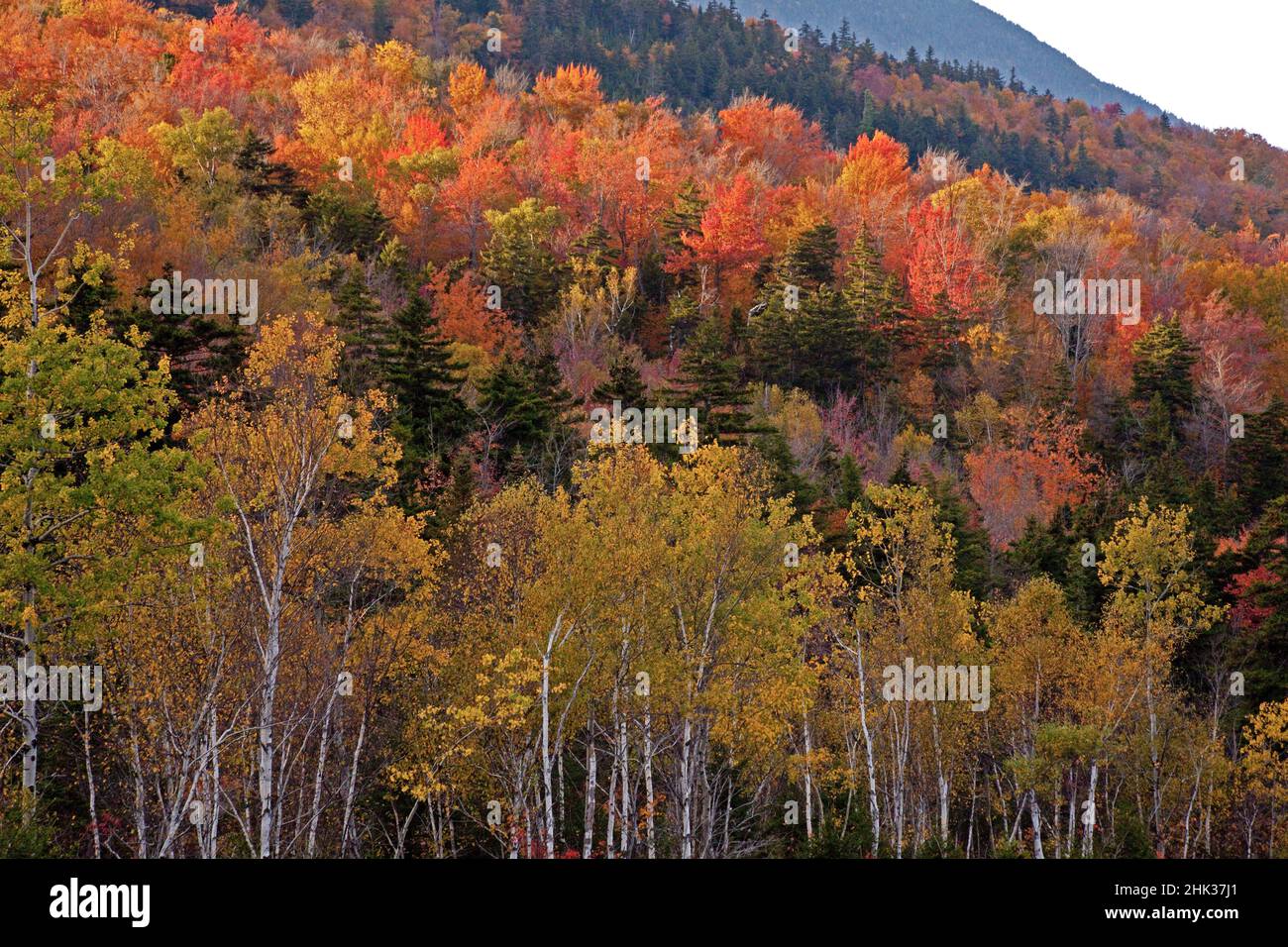 USA, New Hampshire, New England Fall colors on hillsides along highway 16 north of Jackson Stock Photo