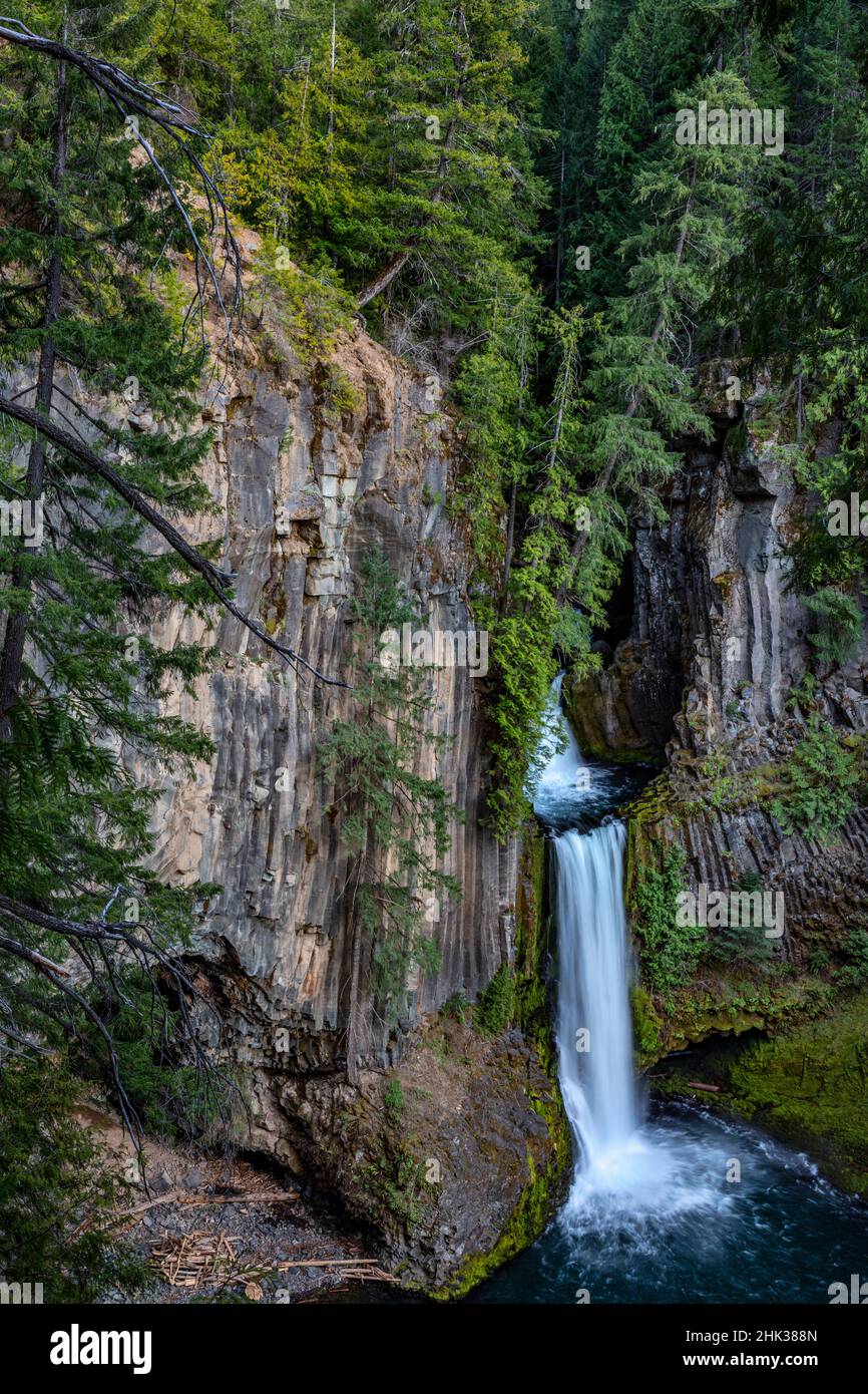 Toketee Falls runs over basalt columns in the Umpqua National Forest, Oregon, USA Stock Photo
