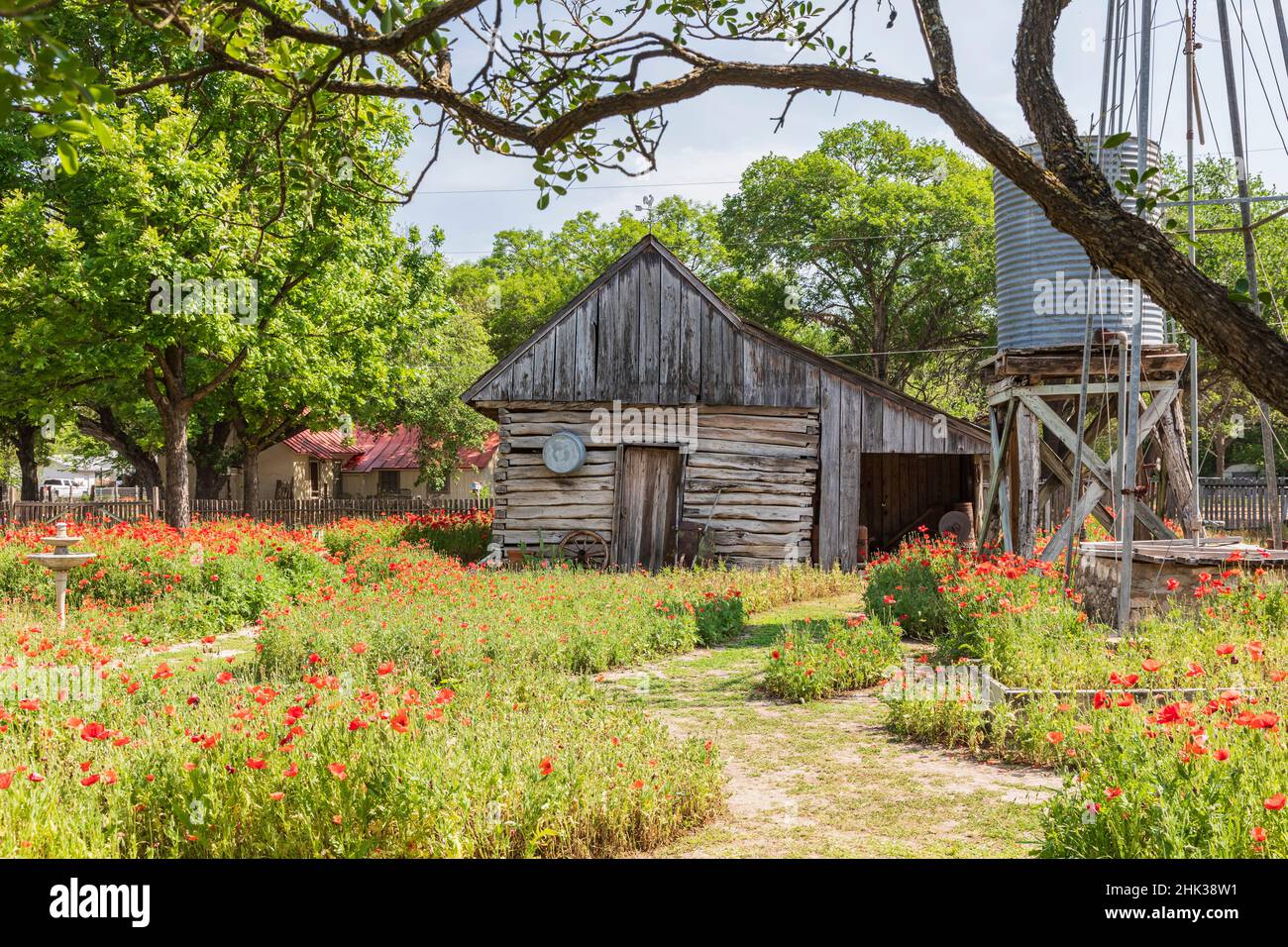 Castroville, Texas, USA. Poppies and historic buildings in the Texas