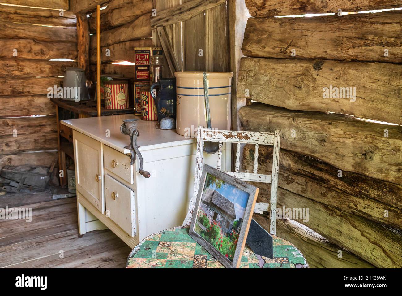 Castroville, Texas, USA. Cow skull leaning against historic building in
