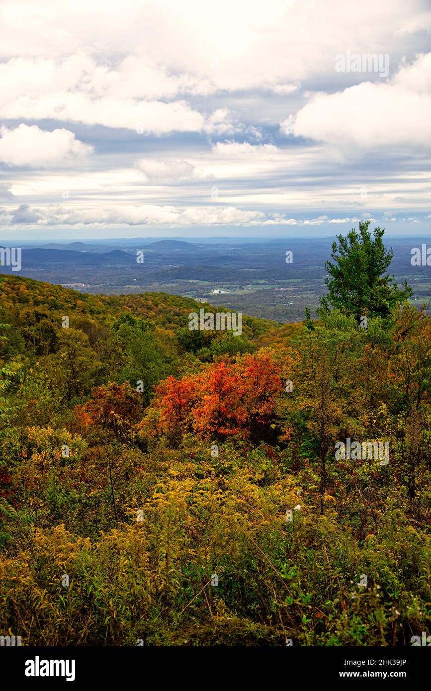 USA, Virginia, Shenandoah National Park, fall color Stock Photo Alamy